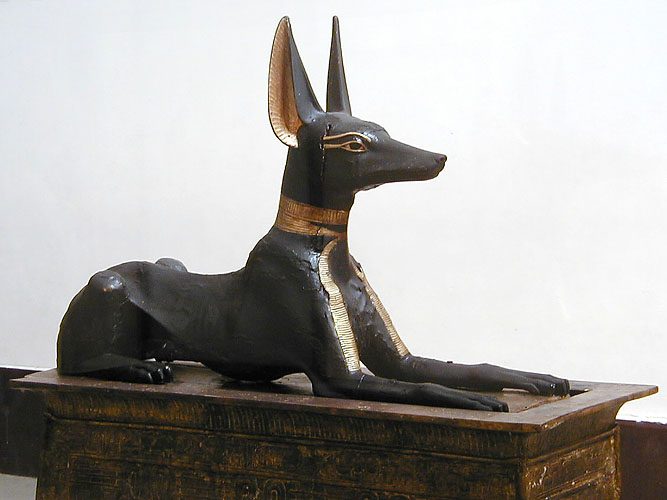 The gilded wooden statue of a reclining black jackal, representing Anubis, mounted on the portable shrine chest found guarding the Treasury doorway in Tutankhamun's tomb, now in the Egyptian Museum, Cairo.