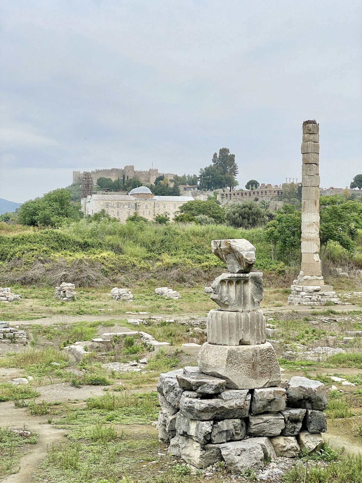The present-day ruins of the Temple of Artemis at Ephesus near Selcuk, Turkey, showing a single reconstructed column standing amid scattered foundation stones in a marshy field.