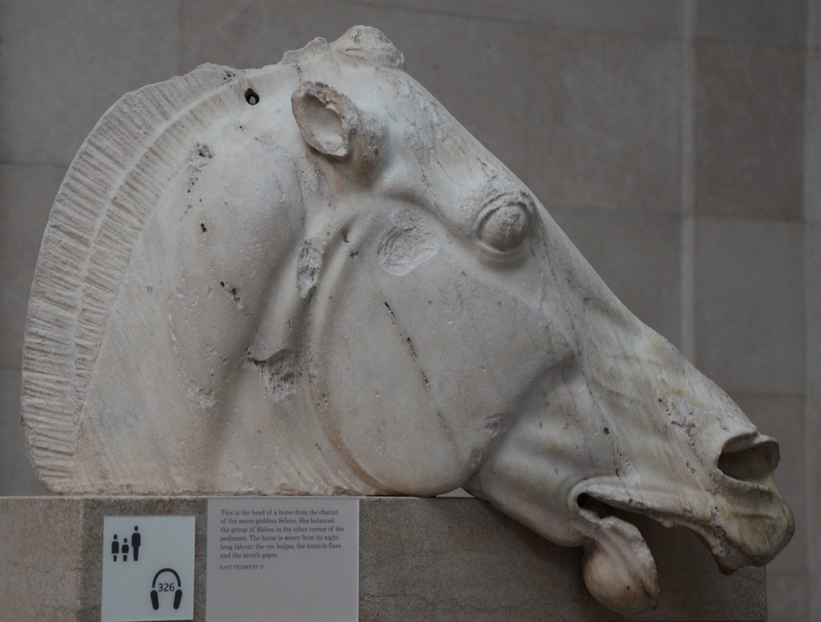 Marble head of one of the horses that pulled Selene's chariot, carved for the east pediment of the Parthenon around 438-432 BC, now in the British Museum.